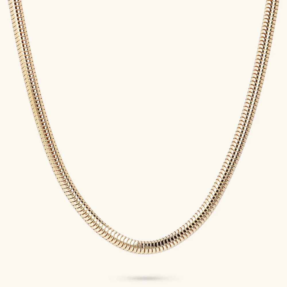 Club Monaco Gold Snake Chain Necklace